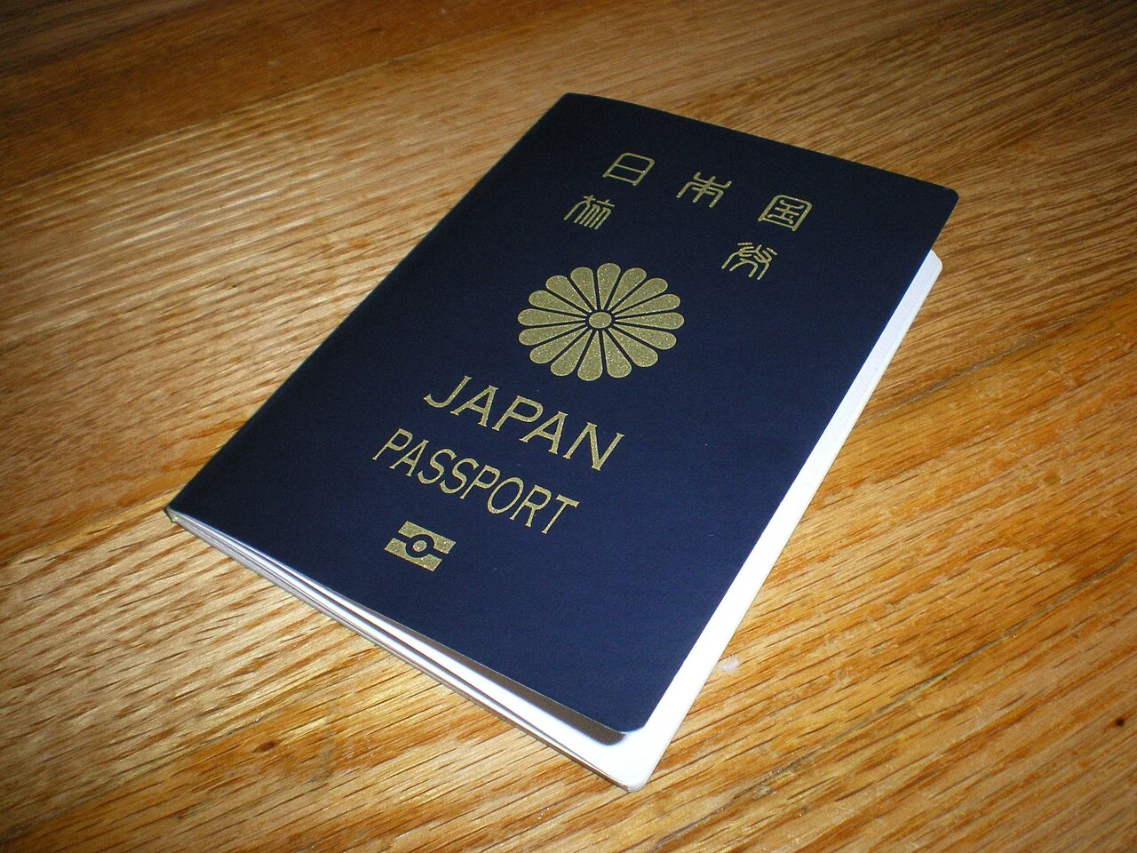 Two Japanese biometric passport covers displayed together as a document illustration.